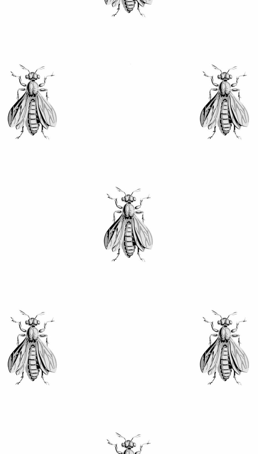 1612 Abeilles DESSIN