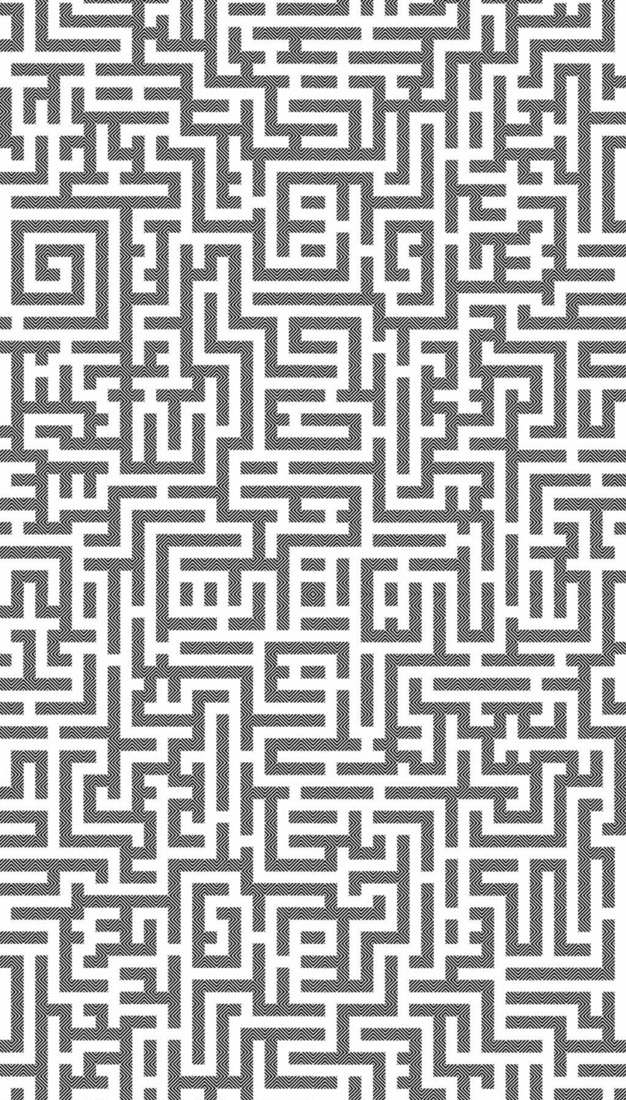 5121 Labyrinthe DESSIN